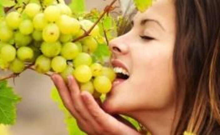 جلب الحبيب بالعنب-اقوى وافضل شيخة روحانية مغربية الشيخة ام عبد اللطيف0096176077739