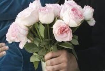 جلب الحبيب عن طريق حصان المحبة الفضية-اقوى شيخة روحانية مغربية ام عبد اللطيف0096176077739