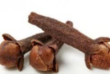 شيخة روحانية مغربية الشيخة ام عبد اللطيف0096176077739-وصفة سحرية لجلب الحبيب بالقرنفل