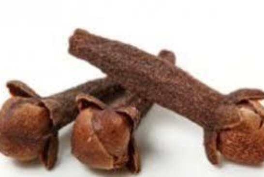 شيخة روحانية مغربية الشيخة ام عبد اللطيف0096176077739-وصفة سحرية لجلب الحبيب بالقرنفل