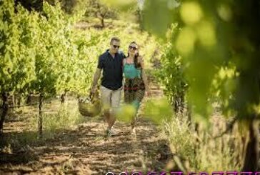 اقوى وافضل شيخة روحانيةالشيخة ام عبد اللطيف0096176077739-جلب الحبيب بالذهب من اعظم الطرق