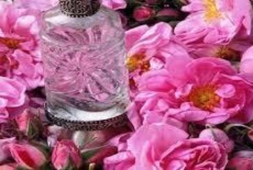 افضل شيخة روحانية مغربية ام عبد اللطيف0096176077739-جلب الحبيب بماء الورد والزعفران